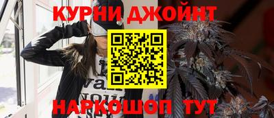 гашик Бузулук