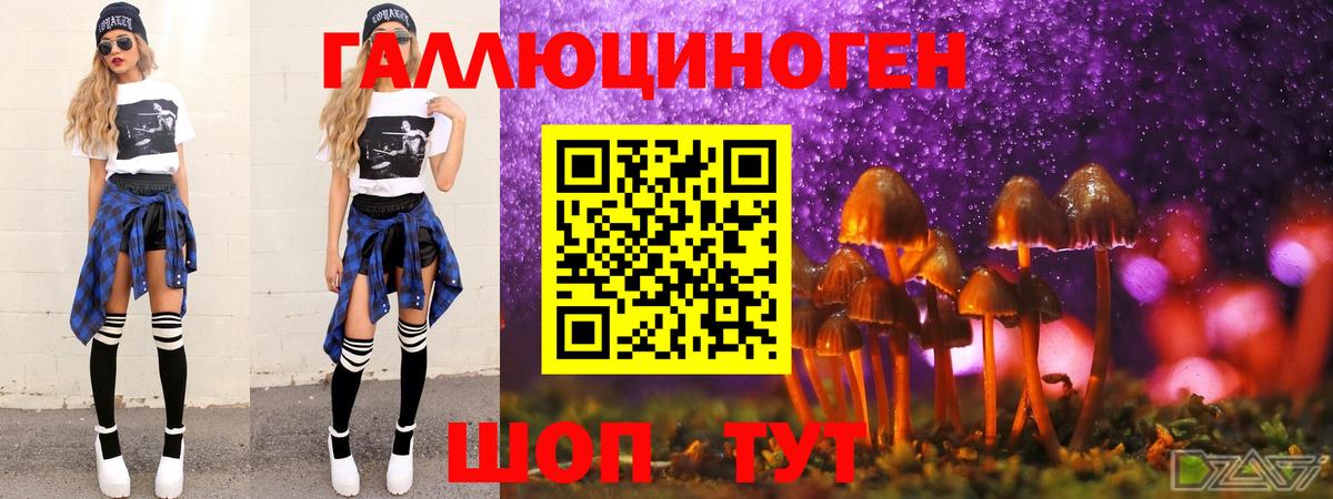 Галлюциногенные грибы Magic Shrooms  как найти   Махачкала  Вход с VPN 
