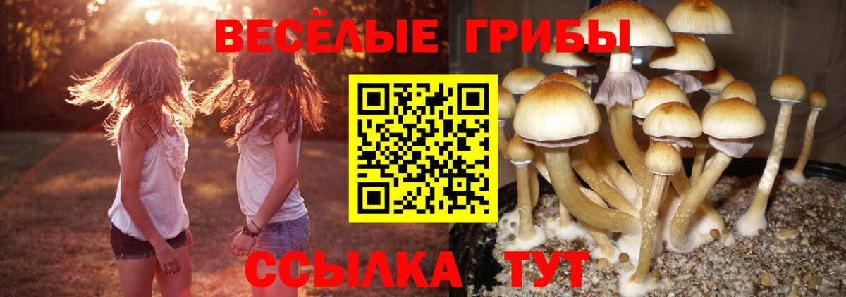 Галлюциногенные грибы прущие грибы Махачкала