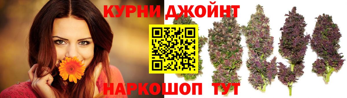 Конопля ГИДРОПОН Махачкала